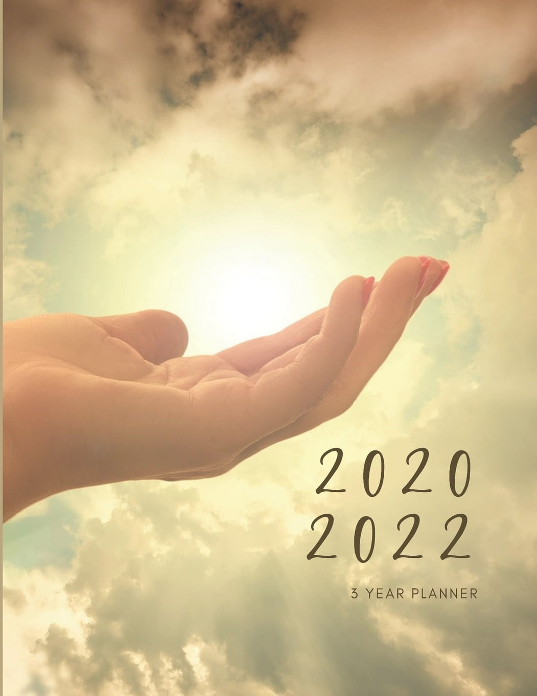18+ Inspirational Quotes 2020 Diary - Swan Quote