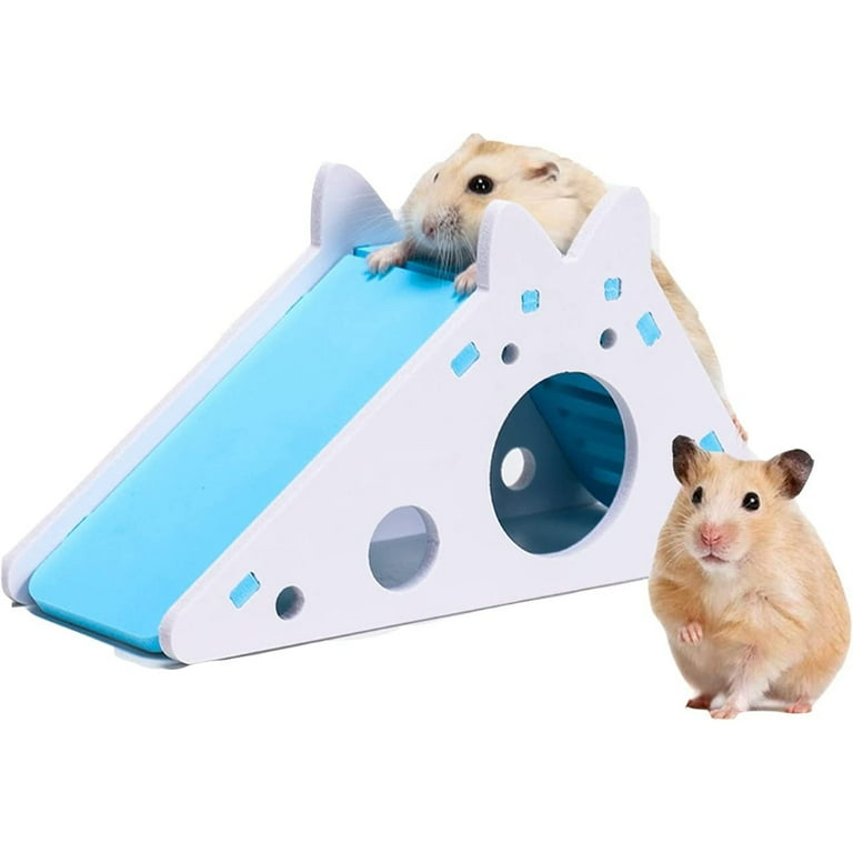 Rat accessories clearance