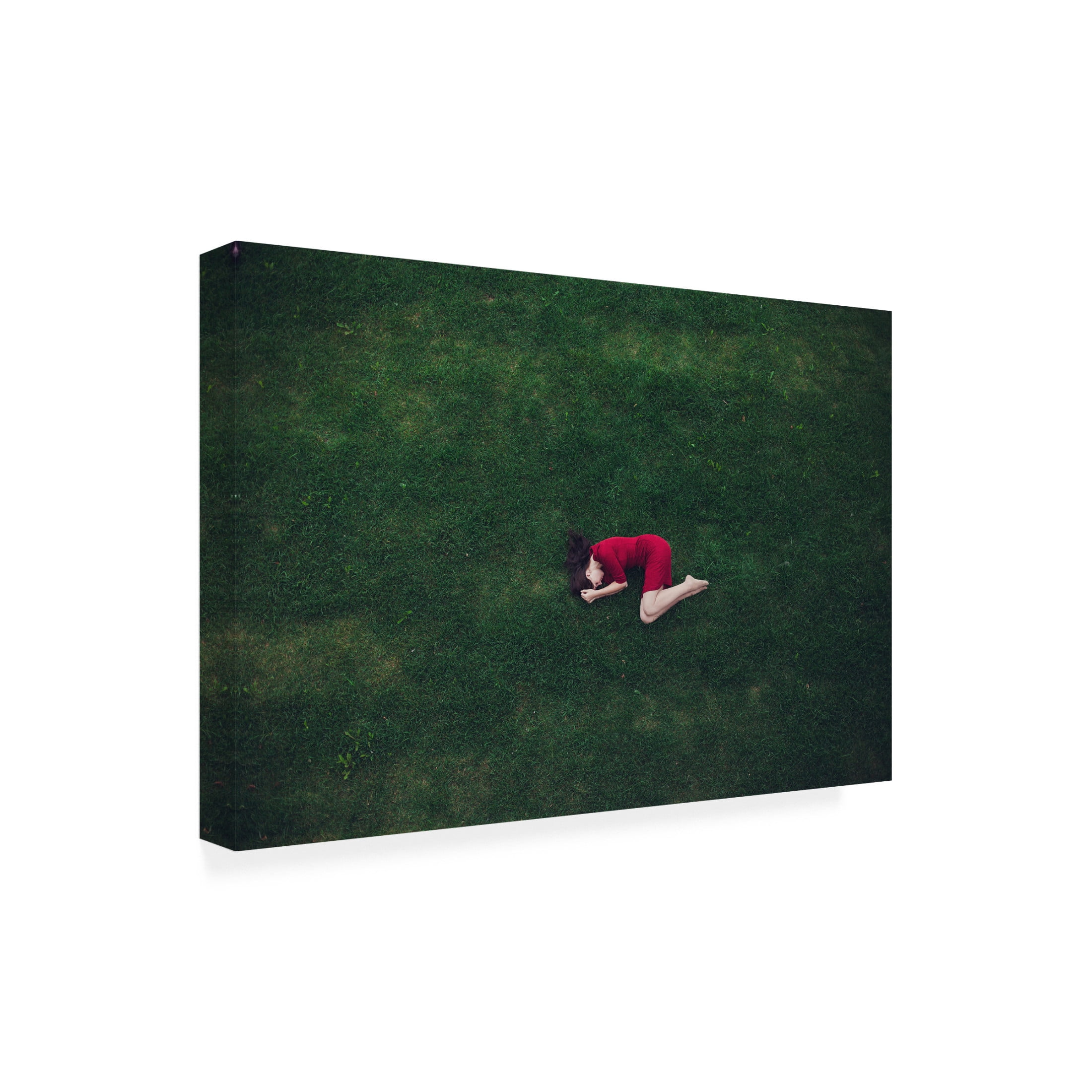 Canvas Wall Art - Tatiana Koshutina 'In Red' Wall Art for Living Room, Bedroom, or Office D?cor by Trademark Fine Art - 24 x 16 Inches