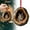 N, variant on PPKVUFD [6 PCS] Spring Animals Ornaments, 2025 Tree Creatures Acrylic Hanging Decor, Vivid Pattern, 2D Flat, Forest Animal Decorations for Garden Trees and Home Parties