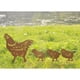 thumbnail image 2 of 4 piezas estacas de animales pollo familia estatua jardín silueta jardín, 2 of 8
