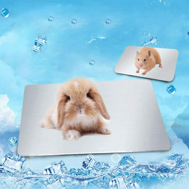 Grande vente Pet Plaque de refroidissement Tapis de dissipation de chaleur  Alliage d'aluminium Animal de compagnie Animaux d'été Lit de glace