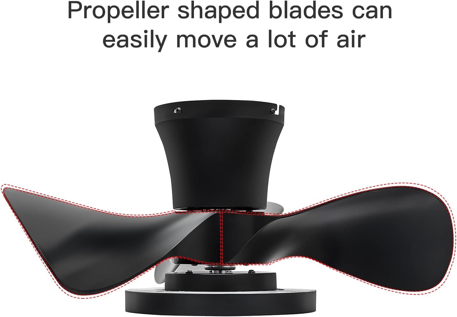 Roomratv Quiet Ceiling Fan with LED Light 22 inch Large Air Volume Remote Control for Kitchen Bedroom Dining Room Patio