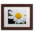 thumbnail image 2 of Trademark Fine Art "Sweet Splendor" Canvas Art by Monica Mize, White Matte, Wood Frame, 2 of 5