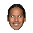 thumbnail image 1 of NFLPA Troy Polamalu Mask, 1 of 2