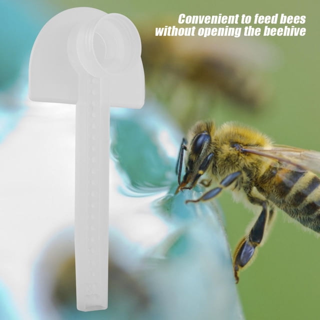 Mangeoire à Abeilles Outil d'Alimentation pour Abeilles Outil d'Apiculture Équipement d'Apiculture 5 Pcs/ensemble Distributeur d'Eau pour Ruche Équipement d'Apiculture