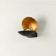thumbnail image 2 of Shell Shape Wall Disponce Lámpara de luz decorativa de pared para al aire libre en interiores, 2 of 5