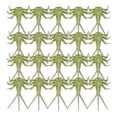 thumbnail image 1 of Lifelike Mayfly Fishing Set 20 Piece Fly for Enhanced Angling Success and Realistic Presentation 20PCS, 1 of 5
