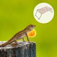 thumbnail image 4 of Foldable Lizard Lounger Rest Lounger Reptile Sleeping Bed Small Animals Guinea Pig Bed, 4 of 7