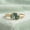 Sterling Silver, variant on Oval Cut Moss Agate Gemstone Trendy Bezel Band Ring, 925 Sterling Silver Yellow Gold Plated Promise Ring, Dainty Handmade Wedding Gift Jewelry for Her