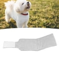 thumbnail image 1 of Collarín Para , Collar De Recuperación Para , Duradero, Ajustable, Evita Mordeduras, Transpirable, Fácil De Limpiar Para Perros, 1 of 7