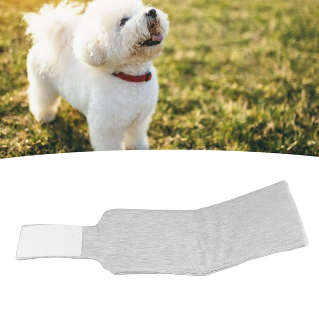 Dog Recovery Collar, Strong Adjustable Dog Neck Brace Prevent Biting Soft For Cats