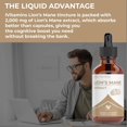 thumbnail image 4 of Tintura líquida Supplement iVitamins Lions Mane 30 ml (1 paquete), 4 of 4