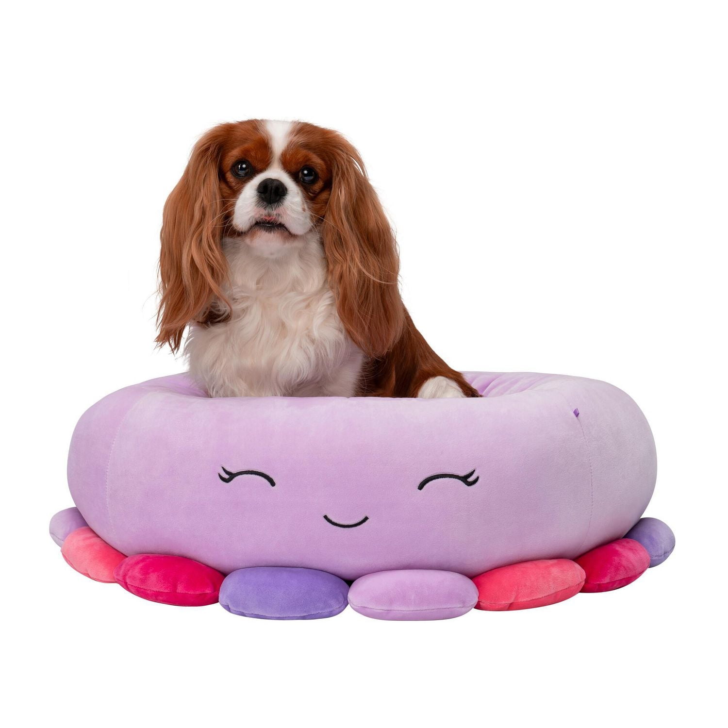 Squishmallows: Lit pour chien - Lit pour chat- Beula la pieuvre (Plusieurs tailles)
