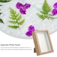 thumbnail image 3 of Butterfly Display Case: Wooden Picture Specimen Box 6, 3 of 6