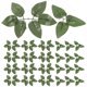 thumbnail image 1 of KAKOWELY 100 hojas verdes artificiales, hojas de rosas falsas, hojas de rosas artificiales para decoración DIY, 1 of 4