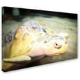 thumbnail image 2 of Trademark Fine Art "Righteous" Canvas Art by Yale Gurney, 2 of 3