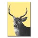 thumbnail image 1 of Cuadro Canva Listo Para Colgar Pixtreats Venado 60X90 cm, 1 of 4