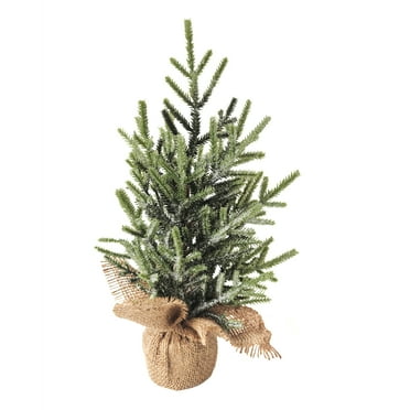 Northlight Frosted Pine Tree with Natural Jute Base Christmas Decoration - 13.25"