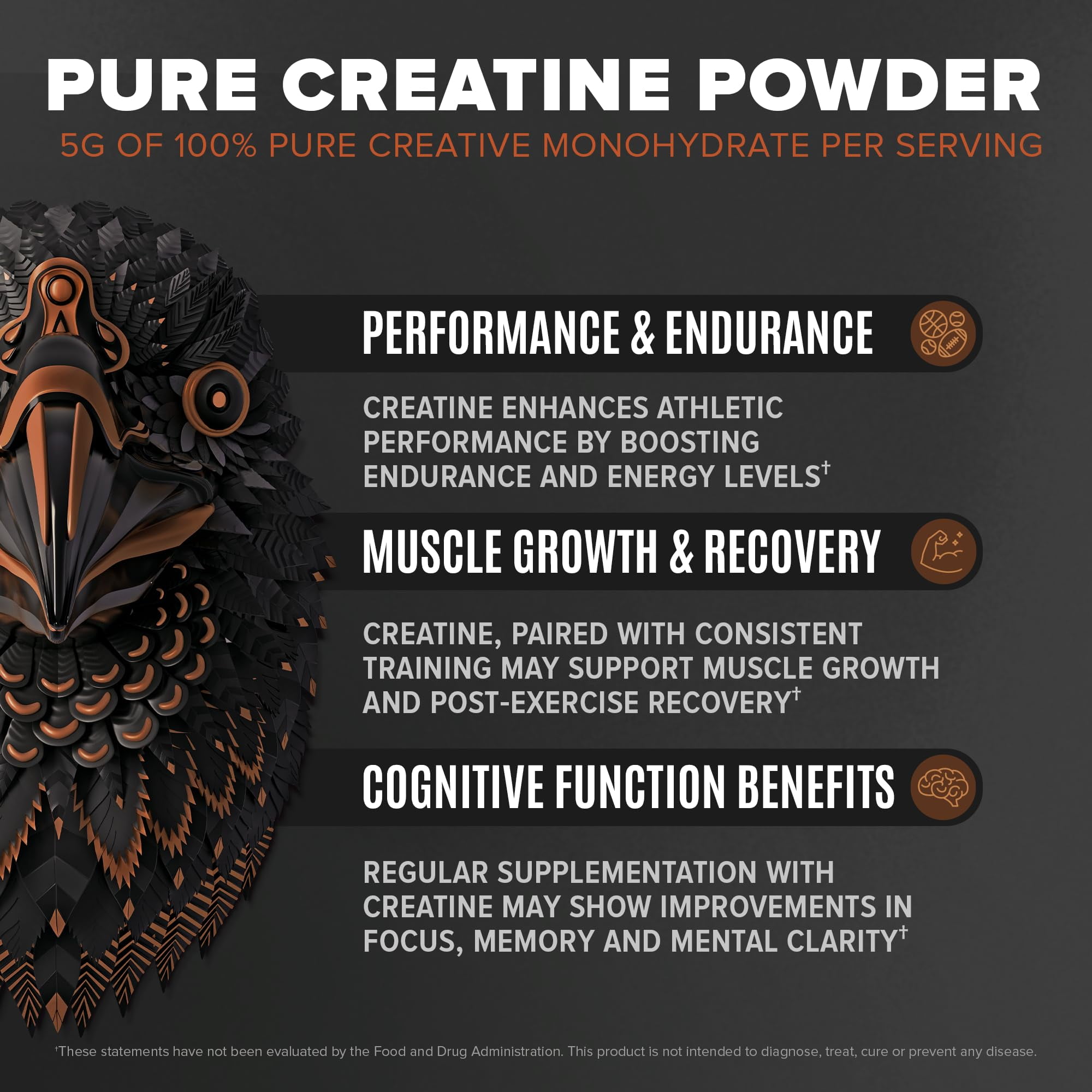 BIRDMAN Falcon Performance Vegan Protein Powder with Creatine, Chocolate Flavor, 28 Servings, 3lb