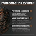 thumbnail image 5 of BIRDMAN Falcon Performance Vegan Protein Powder with Creatine, Chocolate Flavor, 28 Servings, 3lb, 5 of 8