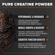 BIRDMAN Falcon Performance Vegan Protein Powder with Creatine, Chocolate Flavor, 28 Servings, 3lb