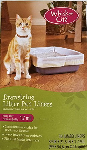 cloth teddy bear pattern