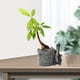 thumbnail image 2 of Maceta de resina con forma de dinosaurio con orificio de drenaje para plantas suculentas, maceteros de animales, oficina en casa, interior y exterior, 2 of 5