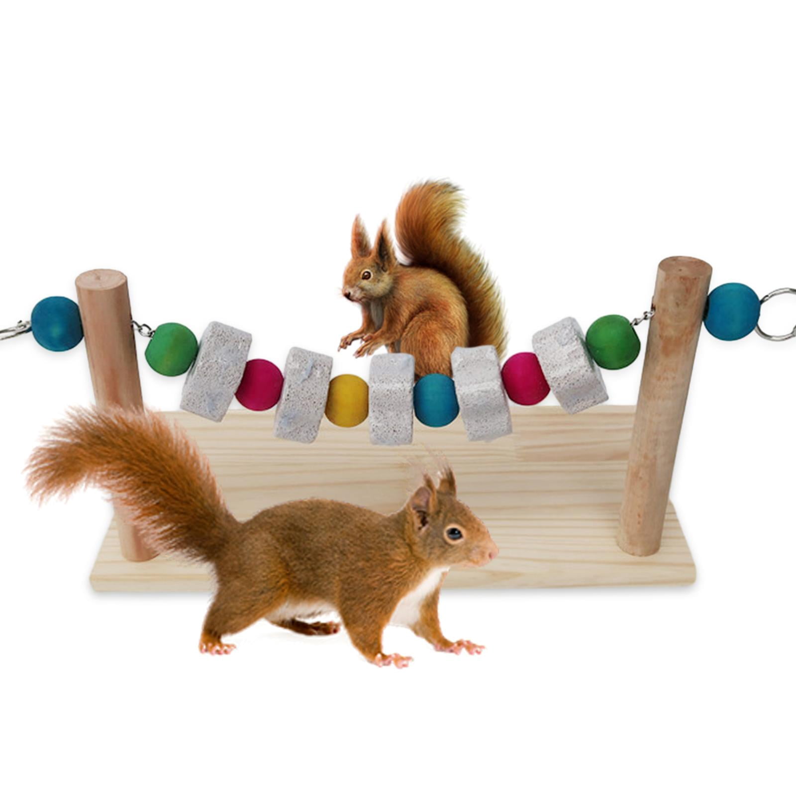 Bird Stand Grinding Block Wood Playground Training Perching Bite Chews Toy Molar