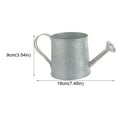 thumbnail image 2 of 2 Pcs Arrosoirs en Fer Simples Durables pour Plantes, 2 of 8