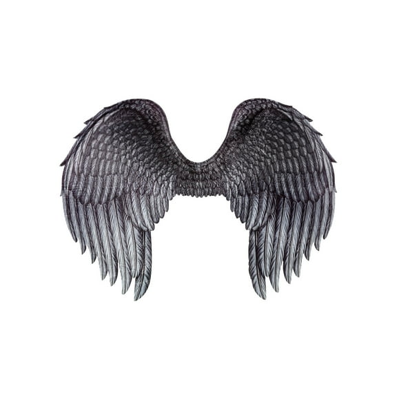 Dark Angel Wings