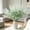 Green, variant on 5-Pack Artificial Pampas Grass & Butterfly Orchid Stems, Fall Faux Silk Flower Bouquet for Home Wedding Party Indoor Garden Decor