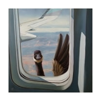 Trademark Fine Art 'Friendly Skies' Canvas Art by Lucia Hefferna
