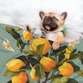 thumbnail image 3 of Pofeuu Retro Warm Lemon Flower Print Puppy Blanket,Dog Blankets,Pet Blanket Cozy Cat Blankets for Indoor Cats, Fuzzy Pet Blanket for Kitten Doggy Dog Blankets-Small, 3 of 8