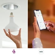 Philips Smart LED 65-Watt BR30 Floodlight Light Bulb, Color & Tunable White, Dimmable, E26 (1-Pack)
