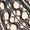 C, variant on Socks 1 Pairs Women Lace Ankle Socks Fishnet Short Stockings