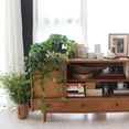 thumbnail image 4 of Plantas colgantes artificiales de pothos de alyptus, set de 2, 4 of 9