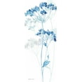 thumbnail image 2 of Coulter, Cynthia 15x32 Gold Ornate Wood Framed with Double Matting Museum Art Print Titled - Indigo Botanical panel IV, 2 of 4