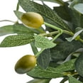 thumbnail image 3 of Better Homes & Gardens Realistic Artificial Olive Plant with Tan Ceramic Vase, 15-Inch, 3 of 7