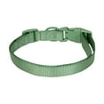 thumbnail image 2 of Vibrant Life Polyester Adjustable Collar for Dogs, Sage Green, Medium, 2 of 6