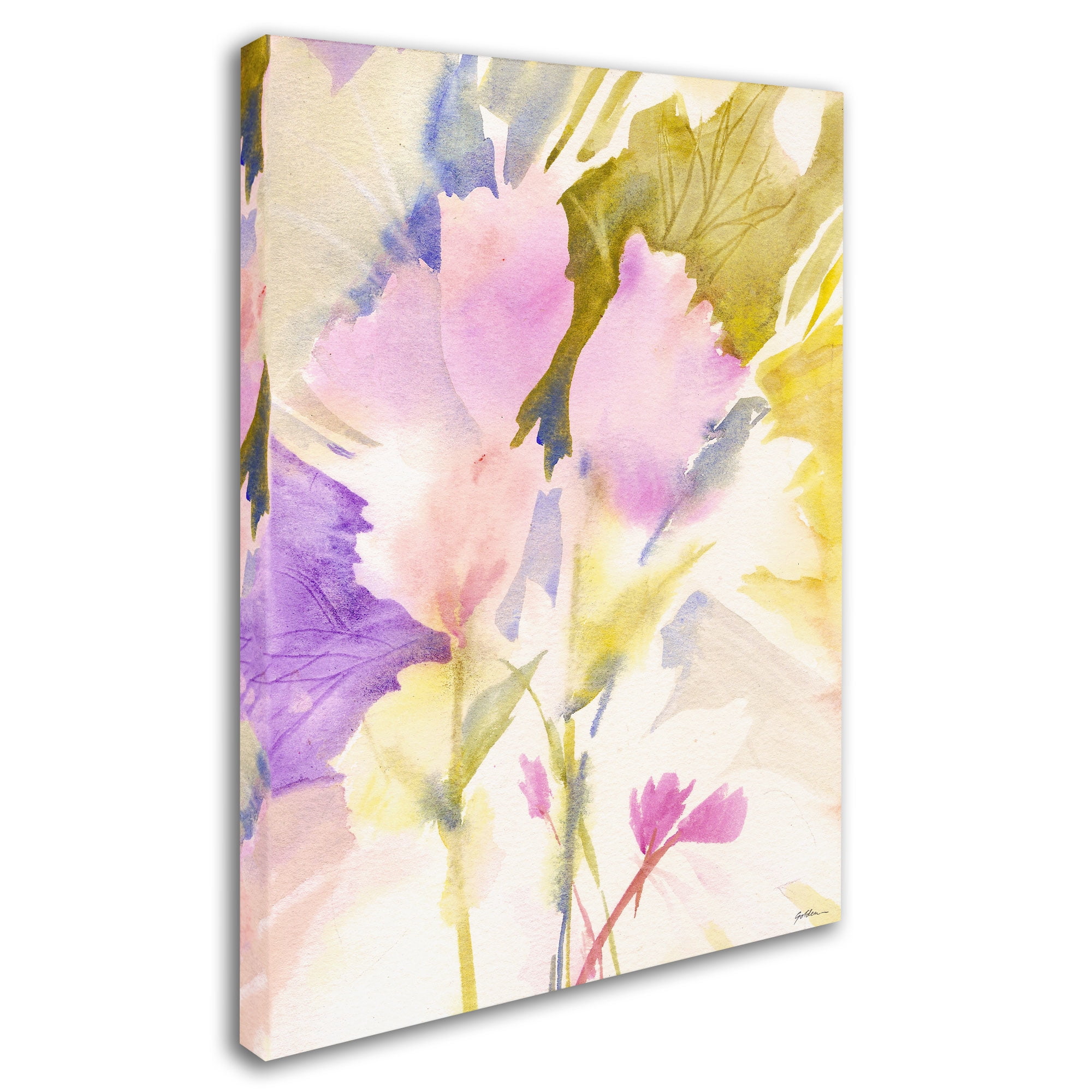 Trademark Fine Art "Lavender Shadows" Canvas Wall Art by Sheila Golden
