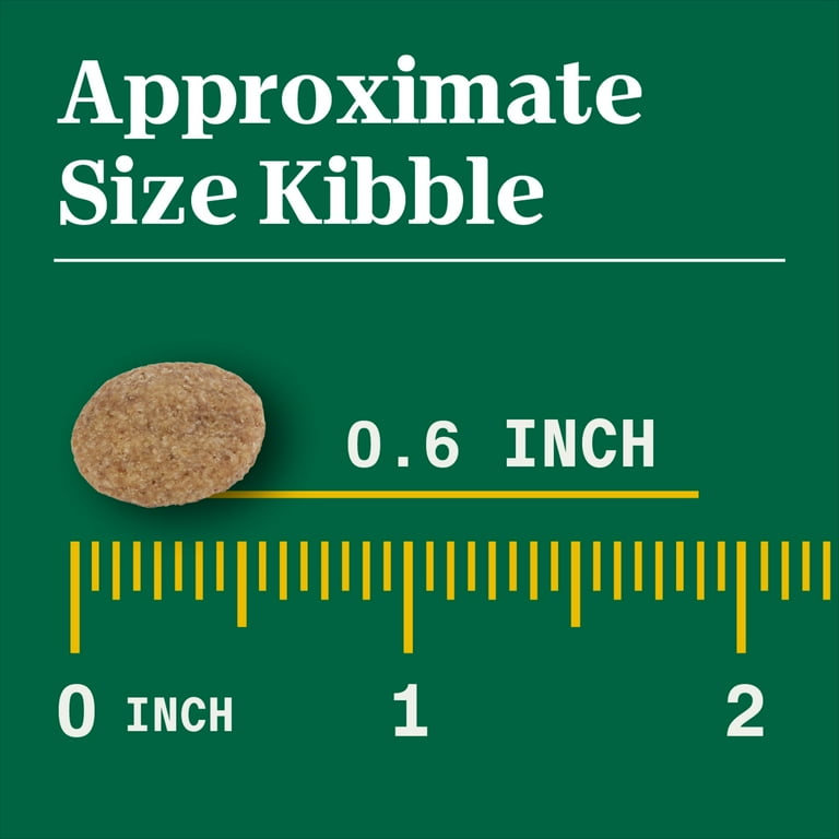 Nutro kibble hot sale