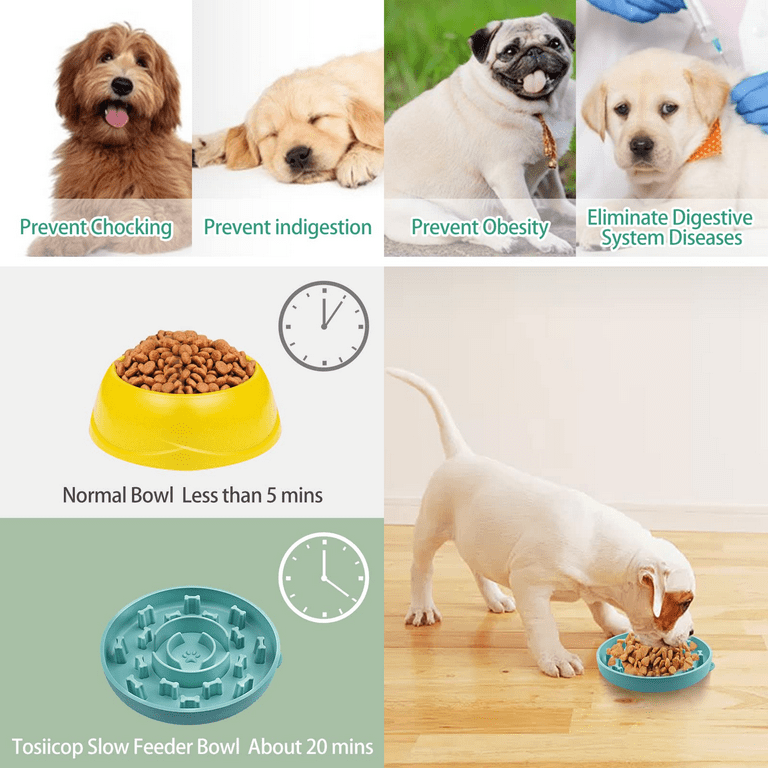 Big promotion!Slow Feeder Dog Bowls Silicone 3 in 1 Small Dog Food