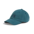 thumbnail image 1 of Gorra de béisbol THE NORTH FACE Norm Shallow Fit, unisex, 1 of 5