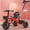 Red, variant on LELINTA 3 in 1 Toddler Tricycles for 1-3 Year Olds Boys Girls Toy, Baby Balance Bike 1 Year Old Kids Gift with Parent Steering Push Handle