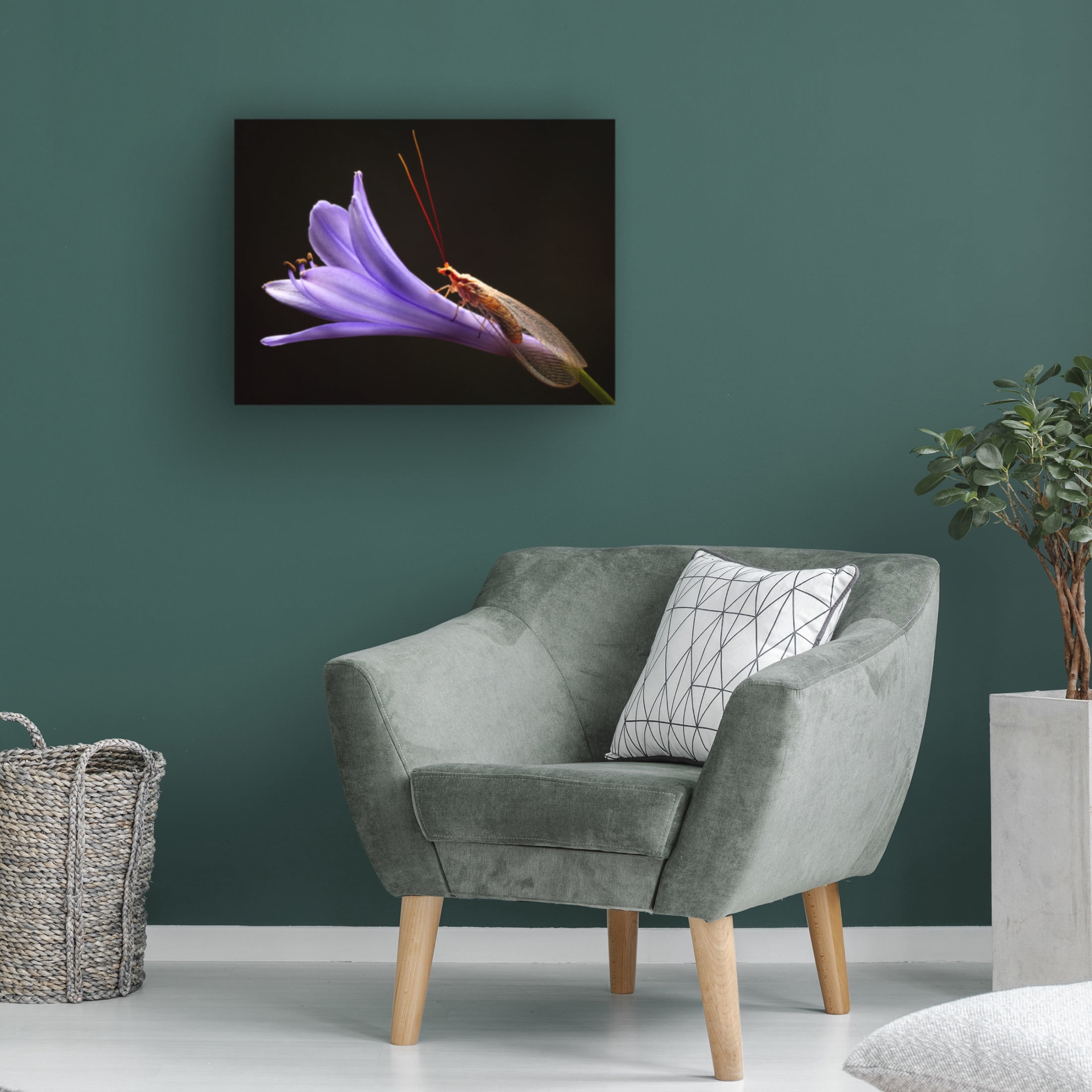 Canvas Wall Art - Jimmy Hoffman 'Lacewing' Wall Art for Living Room, Bedroom, or Office Décor by Trademark Fine Art - 32 x 24 Inches