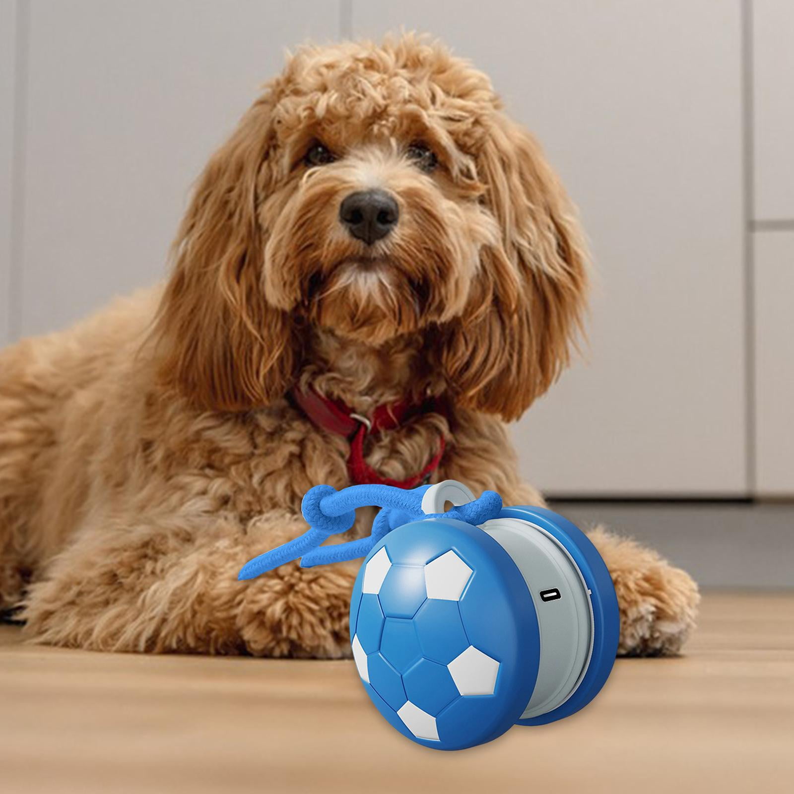 Serenable Interactive Dog Toy Ball Rolling Ball Smart Puppy Ball Automatic Motion Rechargeable Chew Engagement Tool Suitable for Indoor Dogs Aggressive Chewers Playtime blue