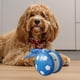 thumbnail image 4 of Pelota de juguete interactiva para perros con cuerdas, suministros para mascotas, entrenamiento diario, automática, pequeña azul, 4 of 7