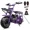 Purple, variant on FRP 99cc 4-Stroke Gas Mini Bike with Rear Cargo Racks, Pull Start Mini Dirt Bike for Ages 13+, Rear Disc Brake, Up to 28 MPH, 220 lb Capacity, Utility Hauler Style – Red