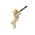 thumbnail image 4 of Pets First Collegiate Miami Hurricanes Football Field Toy for DOGS & CATS. Heavy-Duty, Durable toys with Squeakers, 4 of 6